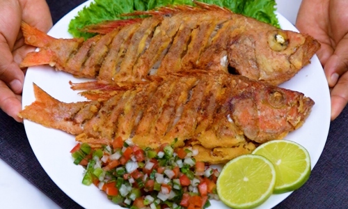 Ayllu Peruvian Restaurant: PESCADO FRITO